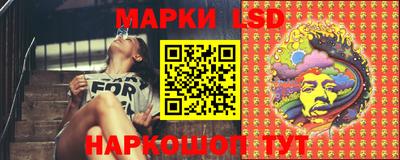 СК Ярославль