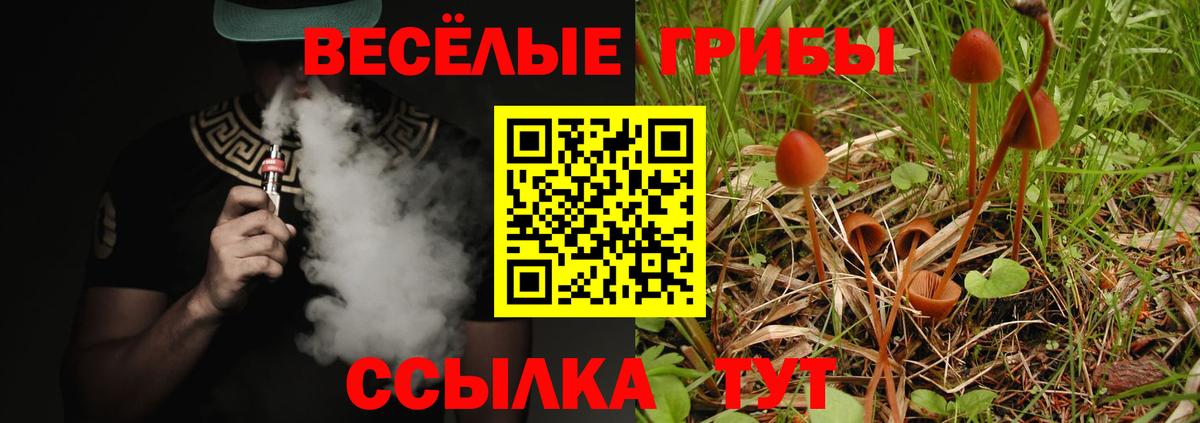 Кимры  Галлюциногенные грибы мухоморы  Вход с VPN 